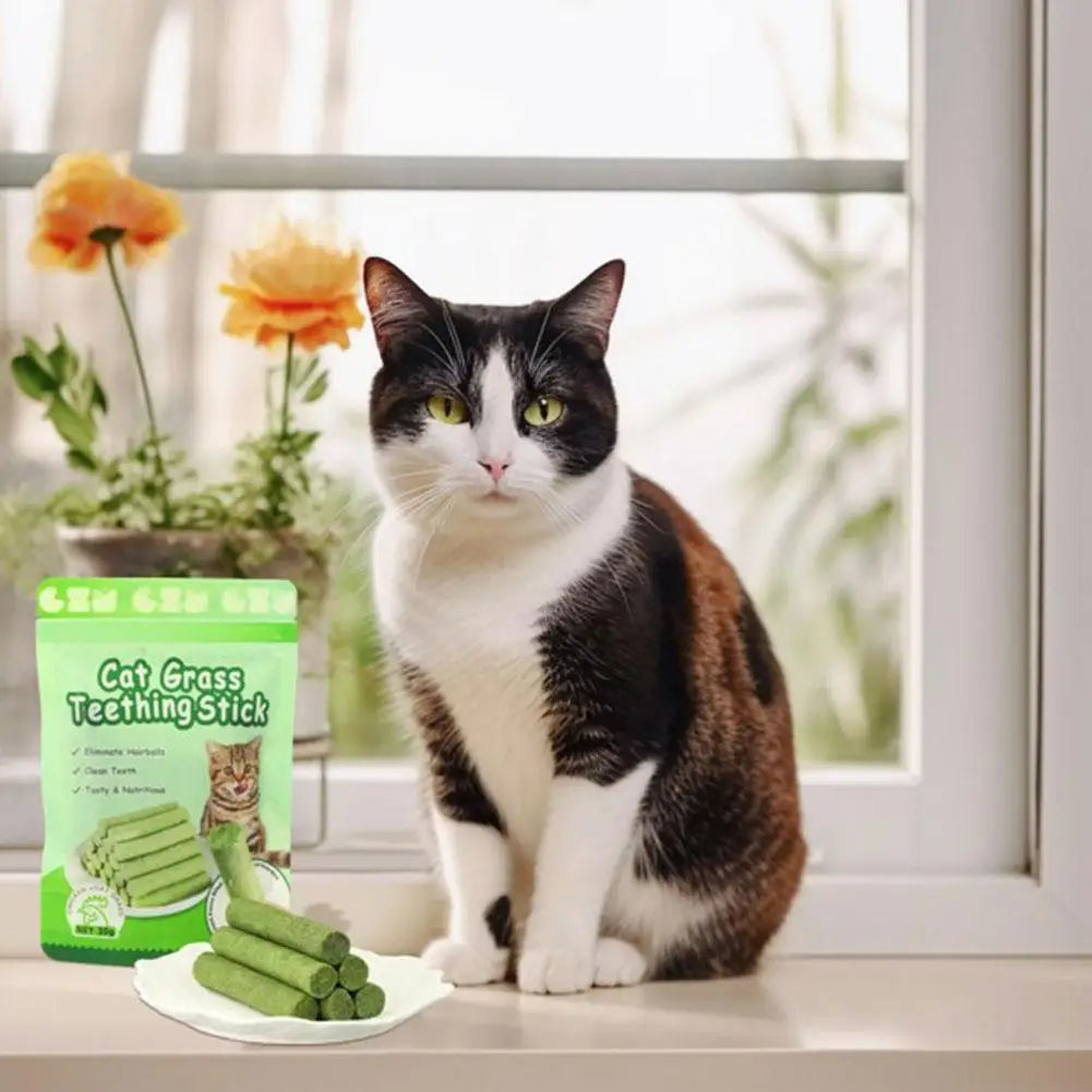 Cat Grass Teeth Sticks