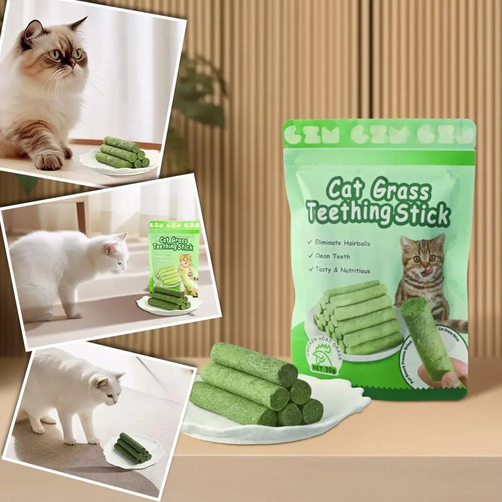 Cat Grass Teeth Sticks
